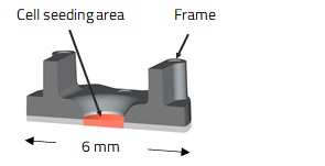 >(b)Cross-sectional view of fiber device (illustration)