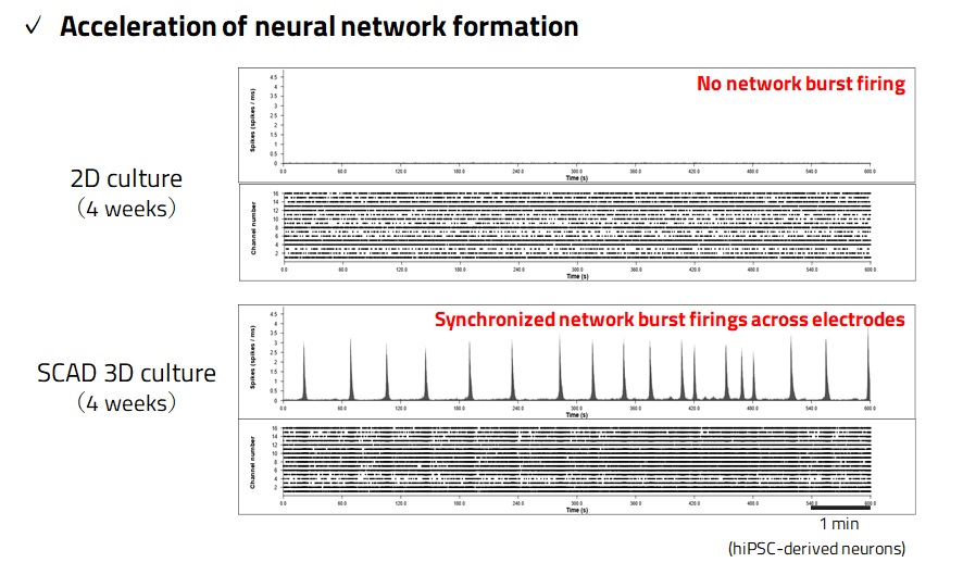 Fig. 4. Features of SCAD Neuron Device – Acceleration of Maturation by 3D Culture